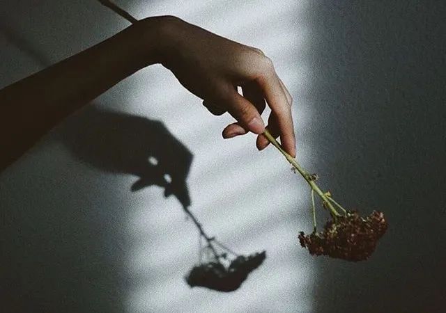 伤感说说伤感图片 所谓的孤独与冷漠不过是这世界的守门人