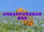 全网最全软件合集蓝奏云网盘链接
