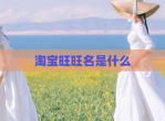 淘宝旺旺名是什么