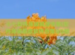 小七软件库<strong>破解</strong>版合集(软件库<strong>破解</strong>版软件合集QQ群号)