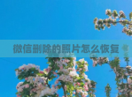 微信删除的照片怎么恢复