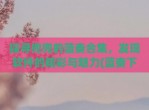 探寻兜兜的蓝奏合集，发现软件的精彩与魅力(蓝奏下载)