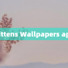Kittens Wallpapers app