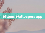 Kittens Wallpapers app