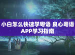 小白怎么快速学粤语 良心粤语APP学习指南