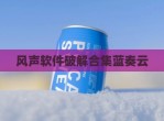 风声软件<strong>破解</strong>合集蓝奏云