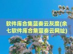 软件库合集蓝奏云灰度(余七软件库合集蓝奏云网址)