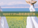 iQOO11Pro刷机教程<strong>分享</strong>