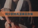 辉少软件库蓝奏云合集