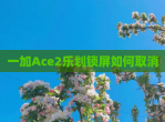 一加Ace2乐划锁屏如何取消