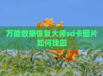 万能数据恢复大师sd卡图片如何找回