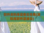 软件资料库蓝奏云合集(资料库软件蓝凑云)