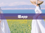 喂app