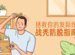 拯救发际线战秃防脱指南课程