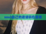 soul自己的邀请码在哪看