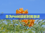 华为P60E续航时间测评
