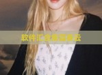 软件汇合集蓝奏云