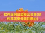 软件库网址蓝奏云合集(软件库蓝奏云软件网址)