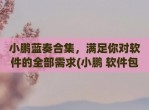 小鹏蓝奏合集，满足你对软件的全部需求(小鹏 软件包)