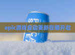 epic游戏自动更新在哪开启