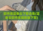 软件库蓝奏云下载合集(蓝奏云软件库最新版下载)