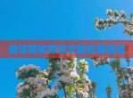 微信昵称<strong>修改</strong>次数在哪查询
