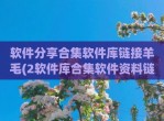 软件<strong>分享</strong>合集软件库链接羊毛(2软件库合集软件资料链接网站)