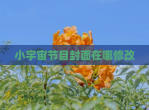 小宇宙节目封面在哪修改