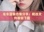车车蓝奏合集分享：精选文件等你下载