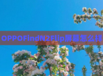 OPPOFindN2Flip屏幕怎么样