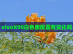 vivoX90白色版配置有变化吗