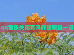 qq<strong>音乐</strong>关闭耳鸣舒缓教程一览