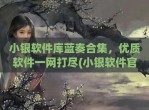 小银软件库蓝奏合集，优质软件一网打尽(小银软件官网)