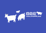 线报活动，实时更新