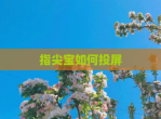 指尖宝如何投屏