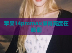 苹果14promax屏幕亮度在哪调