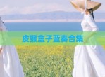皮猴盒子蓝奏合集