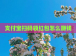 支付宝扫码领<strong>红包</strong>怎么赚钱