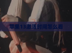 苹果13激活时间怎么看
