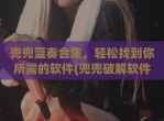 兜兜蓝奏合集，轻松找到你所需的软件(兜兜<strong>破解</strong>软件)