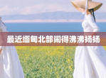 最近缅甸北部闹得沸沸扬扬