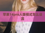 苹果14pro人像模式怎么设置