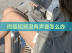 微信<strong>视频</strong>没有声音怎么办