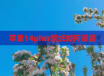 苹果14plus壁纸如何设置