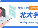 北大学霸给孩子的数学思维课
