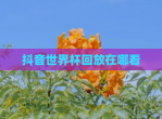 抖音世界杯回放在哪看