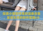 探索小银软件库的蓝奏合集，发现无尽的软件宝藏(小银块蓝牙app下载)