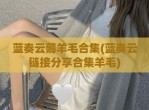 蓝奏云薅羊毛合集(蓝奏云链接<strong>分享</strong>合集羊毛)