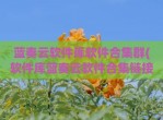蓝奏云软件库软件合集群(软件库蓝奏云软件合集链接)