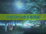 小米13Pro怎么看网速